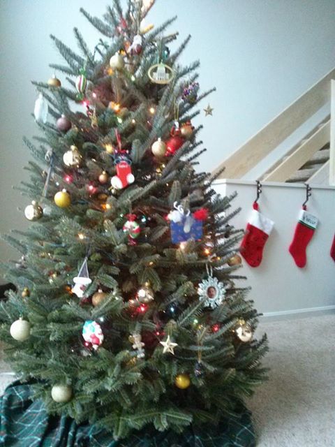 christmas tree 2013